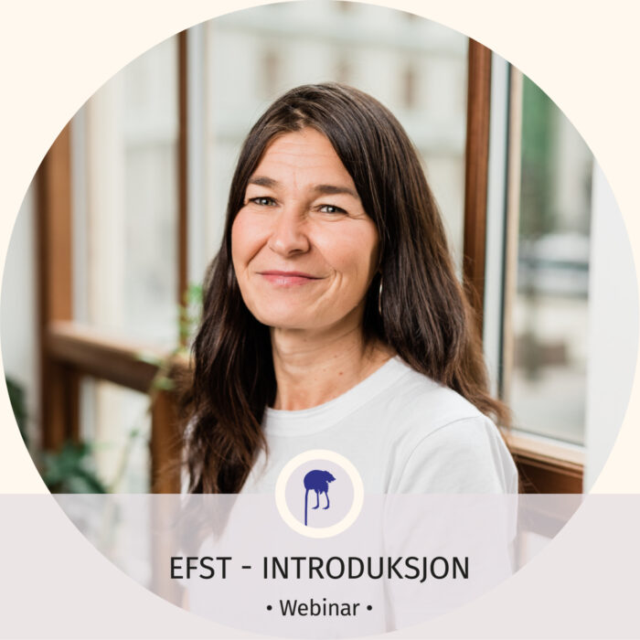 EFST Introduksjon Bente Austbø