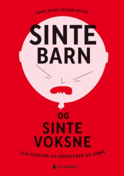  SINTE BARN 