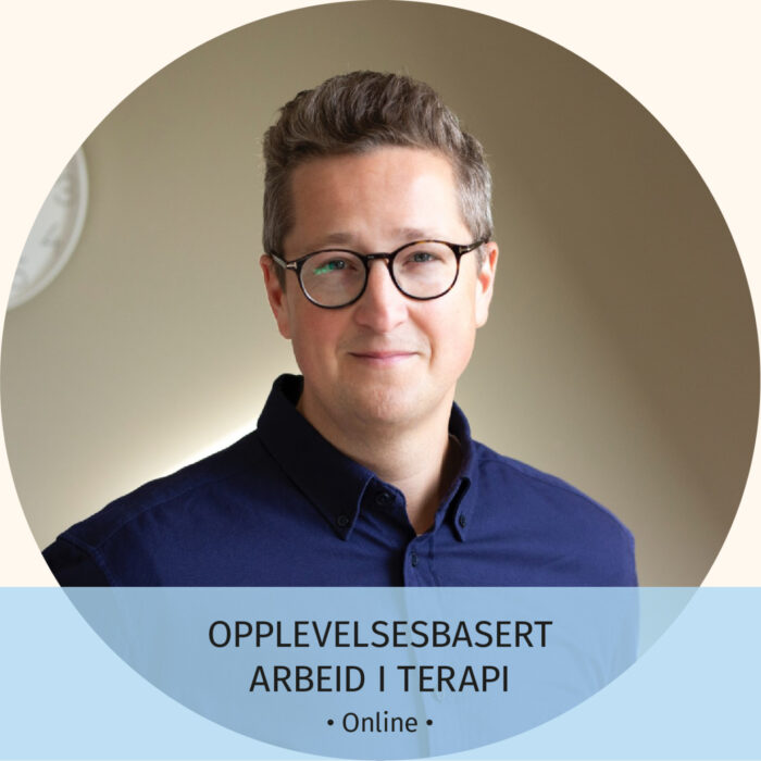 Opplevelsesbasert arbeid i terapi Online Aksel Inge Sinding